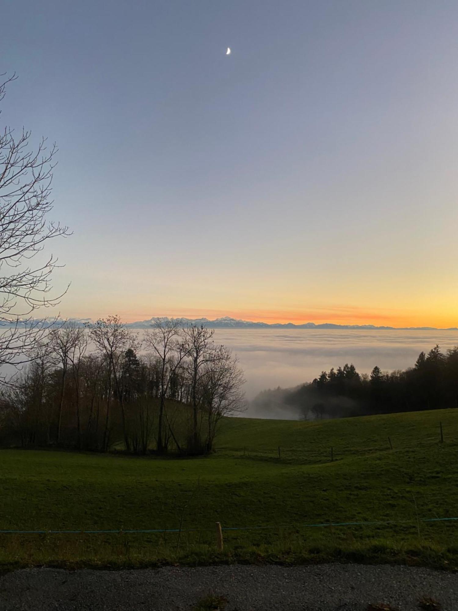 Tevenon Vue Panoramique Alpes-Lac Grandevent ภายนอก รูปภาพ