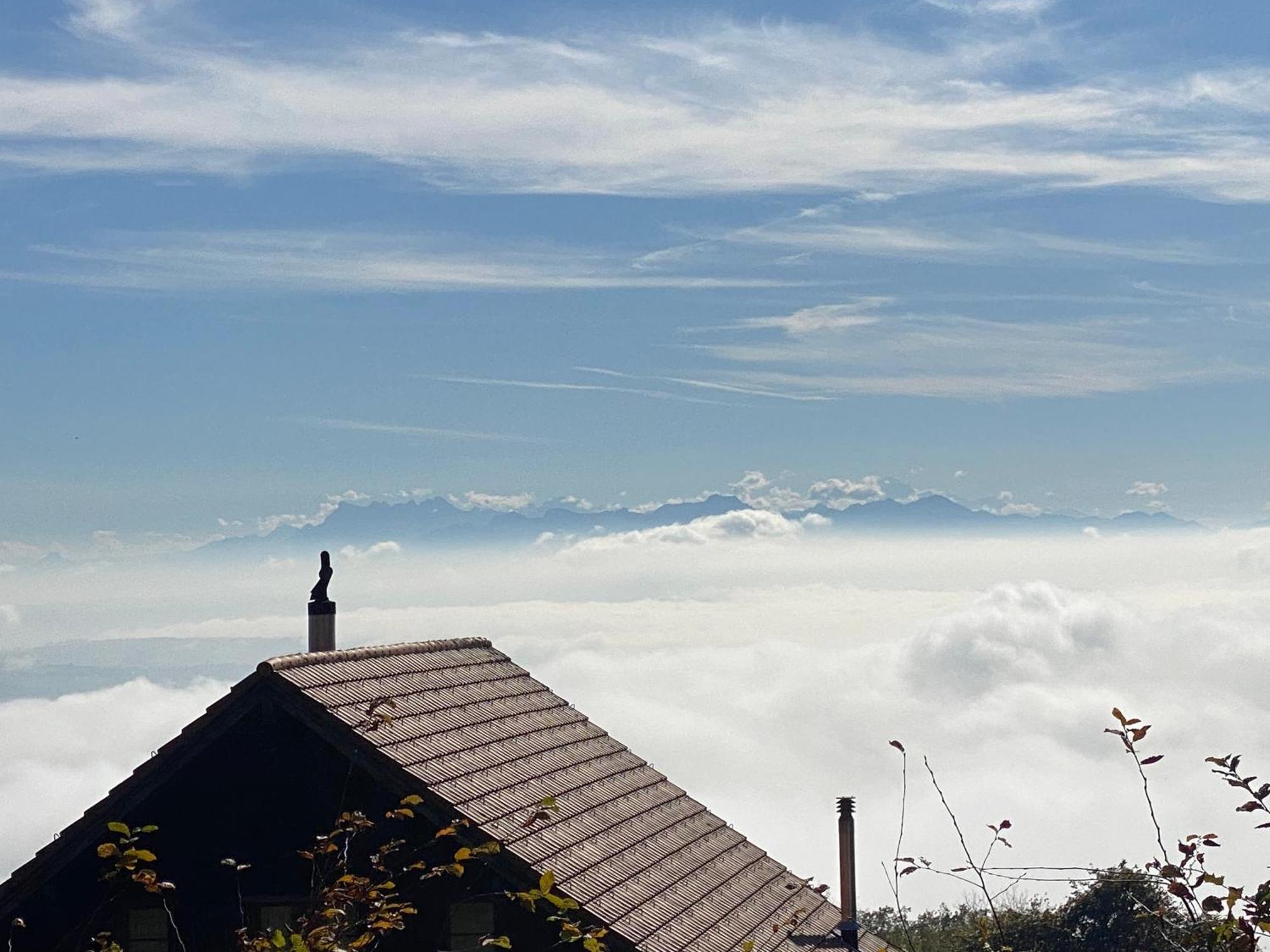 Tevenon Vue Panoramique Alpes-Lac Grandevent ภายนอก รูปภาพ